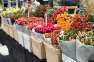 Amsterdam Flower Market thumbnail